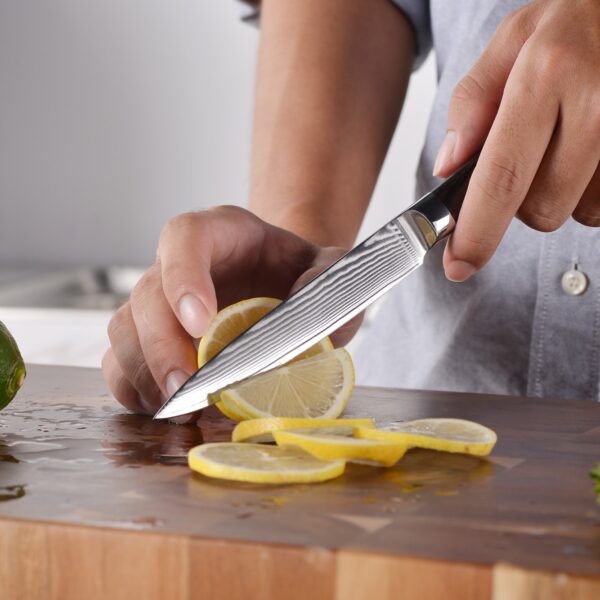 HCD4068 - 5 Inch 67 Layer VG10 Damascus Steel Paring Knife - Image 4